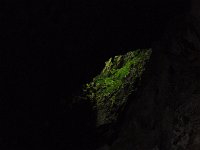 P3190442  Trip to Mulu Caves