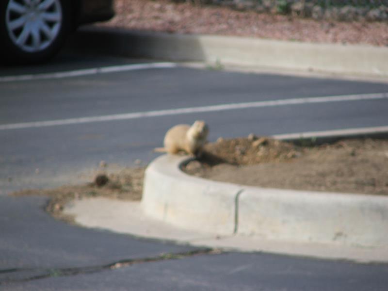 DSCF0665.JPG