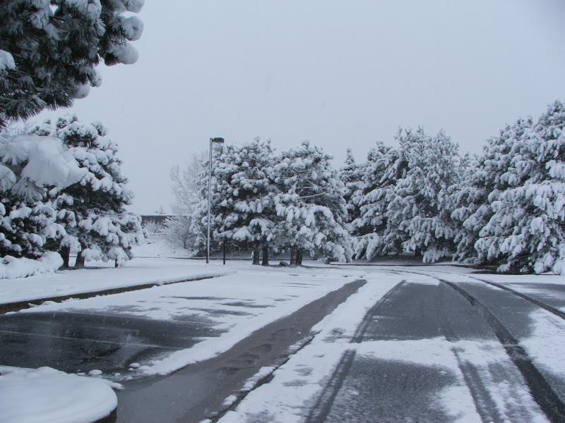 DSCF0718.JPG