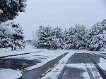 DSCF0718.jpg
