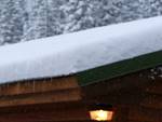 DSCF0719.jpg