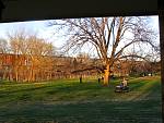IMG_2803.jpg
