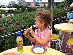 IMG_2846.jpg