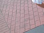 IMG_2875.jpg