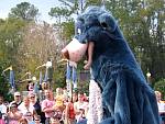 IMG_2880.jpg