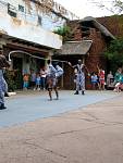 IMG_2920.jpg