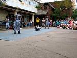 IMG_2921.jpg