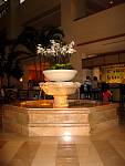 IMG_2932.jpg