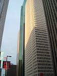 DSC02931.jpg