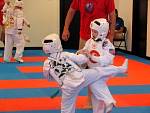 IMG_3230.jpg
