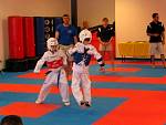 IMG_3237.jpg