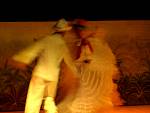 DSC00740.jpg