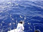 DSC00750.jpg