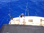 DSC00753.jpg