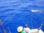 DSC00755.jpg