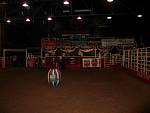 IMG_3388.jpg