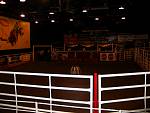 IMG_3389.jpg