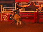 IMG_3395.jpg