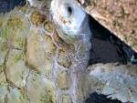 IMG_3442.jpg