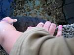 IMG_3444.jpg