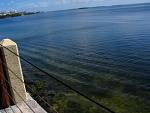 IMG_3453.jpg