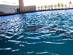 IMG_3455.jpg