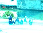 IMG_3587.jpg