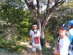IMG_3930.jpg
