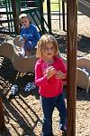 IMG_0181.jpg