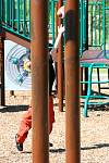 IMG_0185.jpg