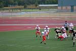 IMG_0282.jpg