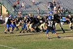 IMG_0429.jpg