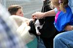 IMG_0478.jpg