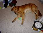 DSC01371.jpg