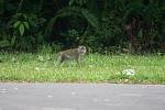 IMG_3689.jpg