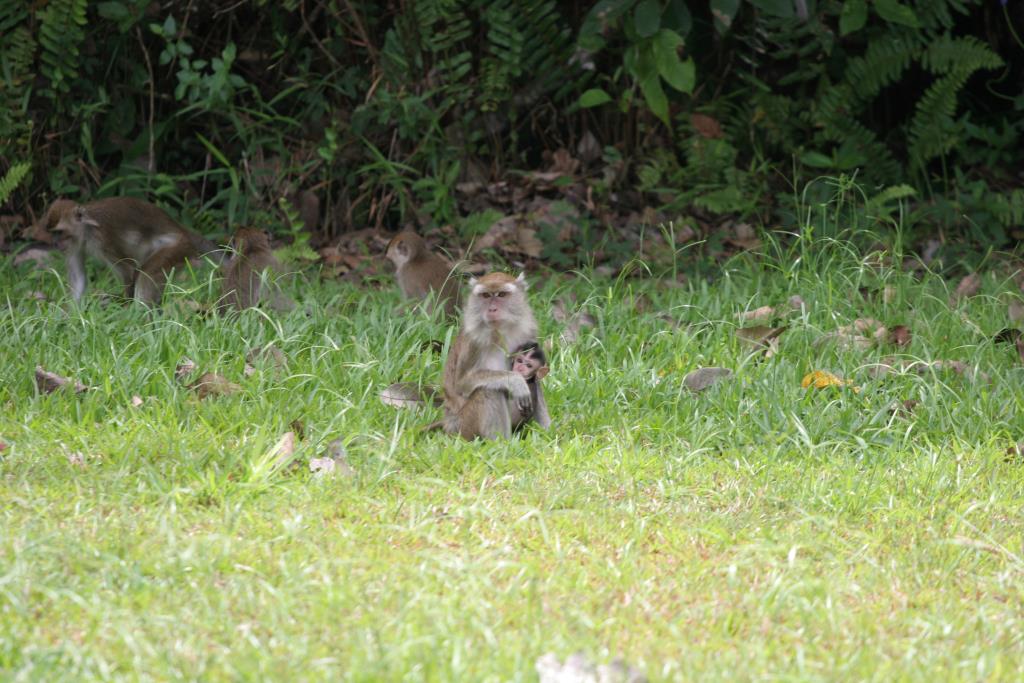 IMG_3835.JPG