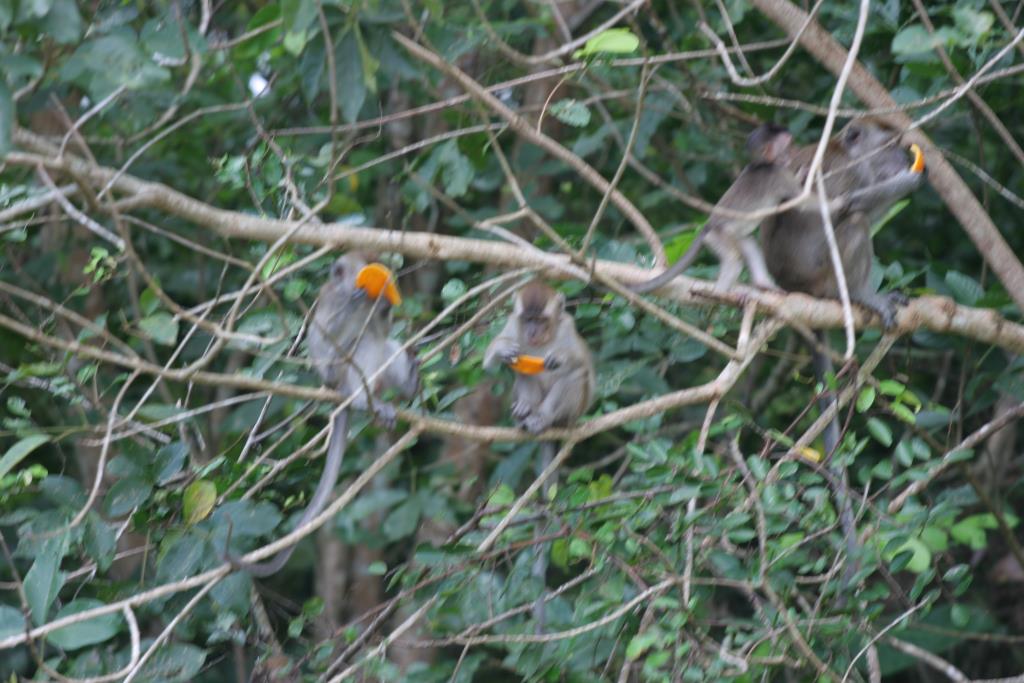 IMG_4438.JPG