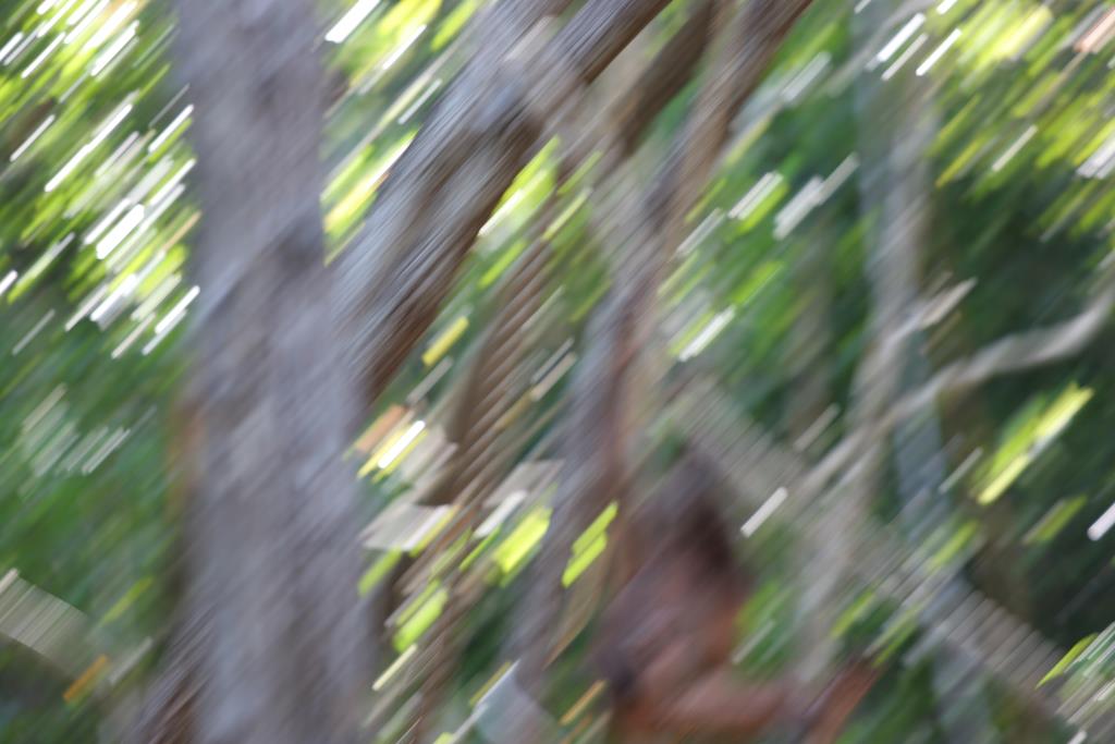 IMG_5648.JPG