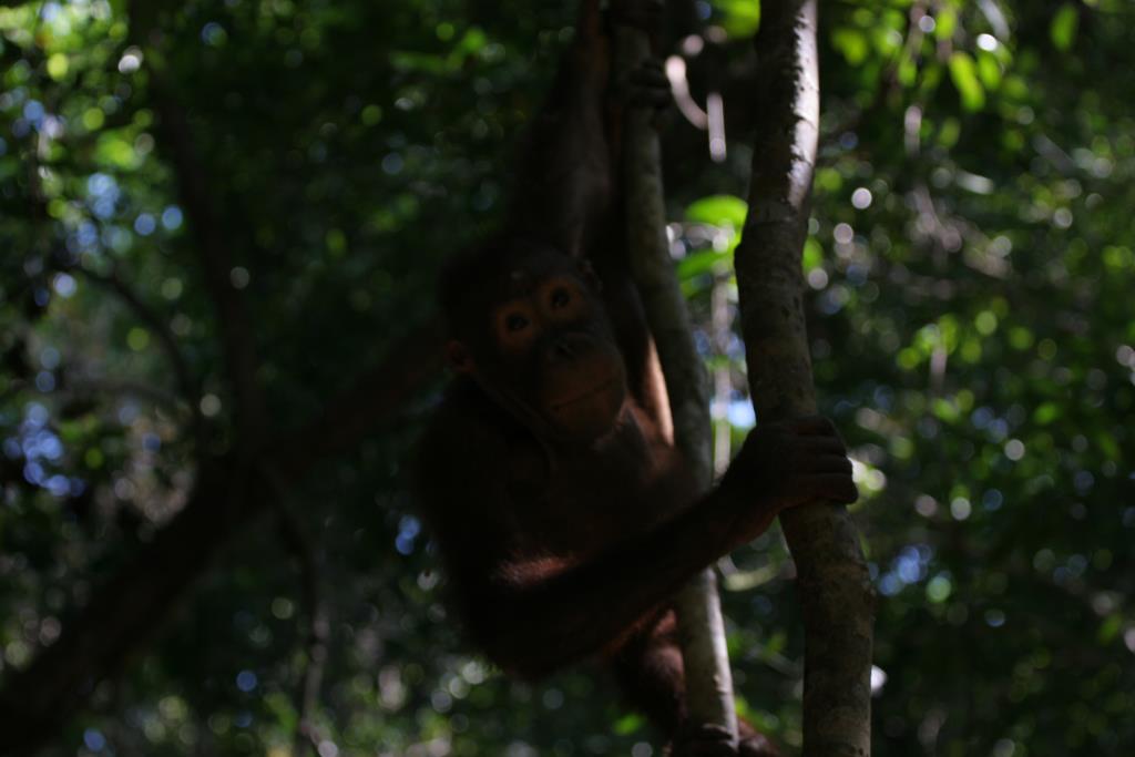 IMG_5671.JPG