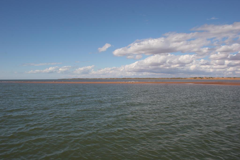 IMG_5992.JPG