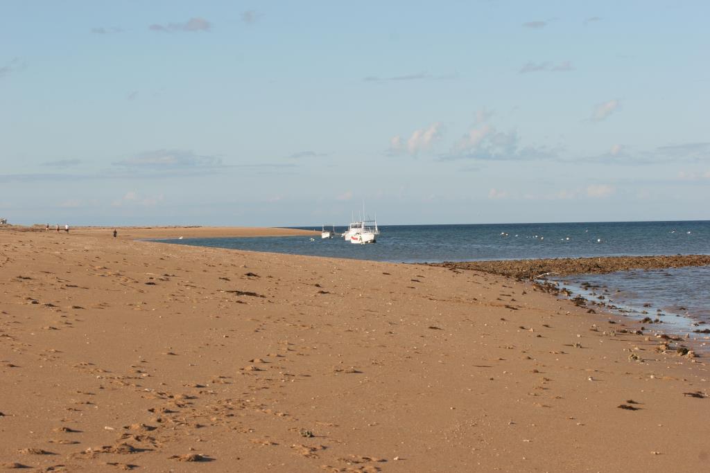 IMG_6009.JPG