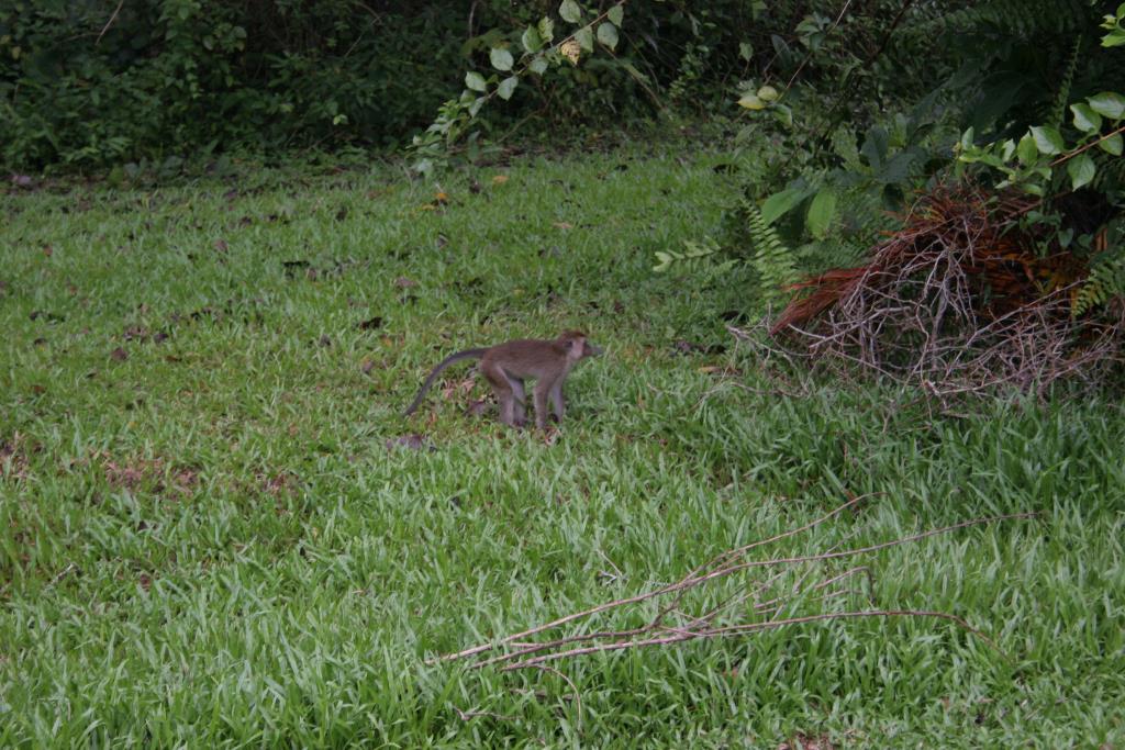 IMG_7199.JPG