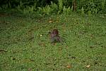 IMG_7200.jpg