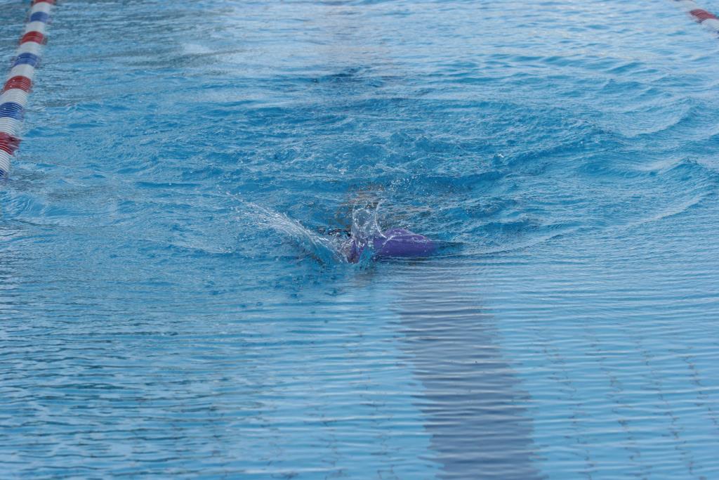 IMG_8278.JPG