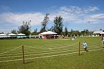 IMG_8678.jpg
