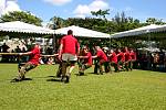IMG_8722.jpg