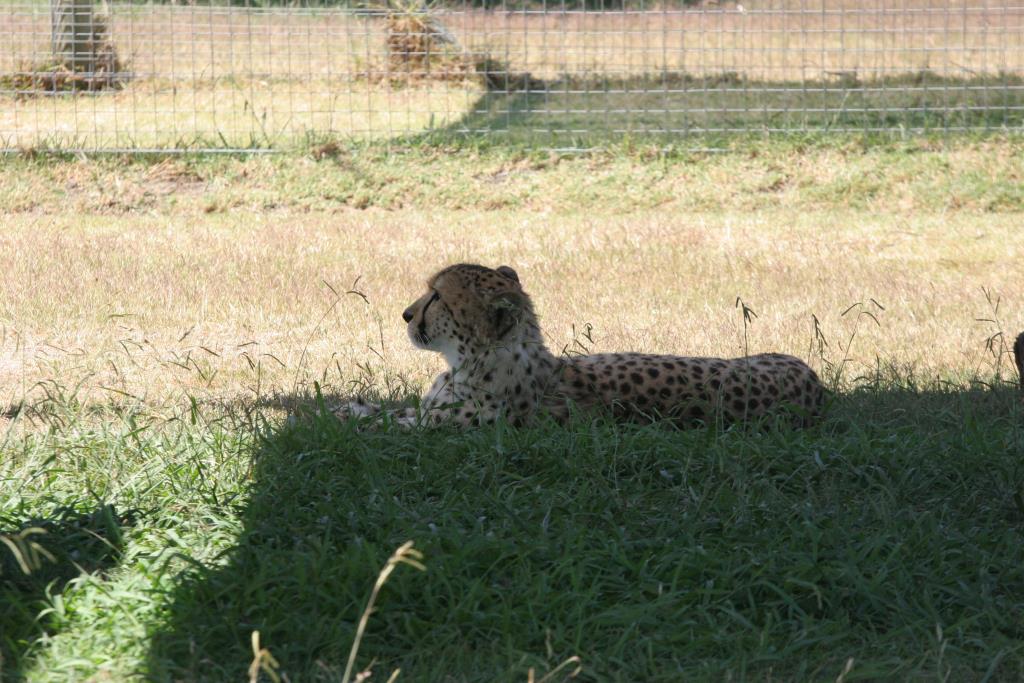 IMG_1106.JPG