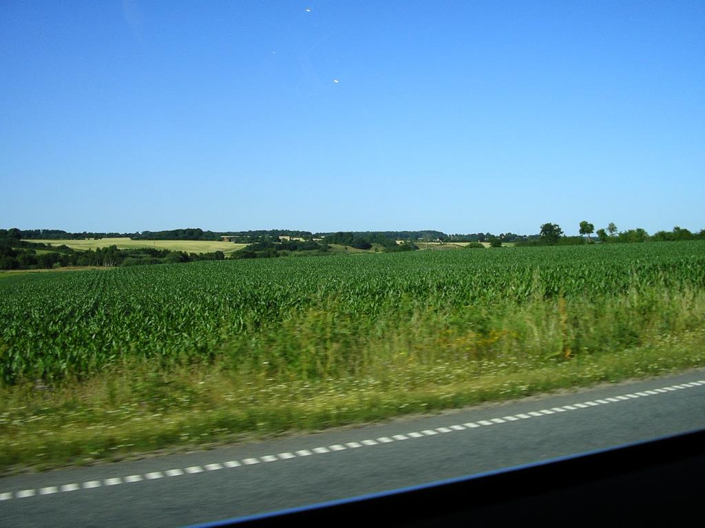 IMGP3057.JPG