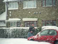 IMG02338