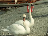 IMG02186